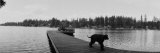 Dog Walking on the Pier, Bellevue, Washington State, USA Photographic Print by Panoramic Images 