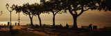 Benches in a Park, Torri del Benaco, Lake Garda, Italy Photographic Print by Panoramic Images 