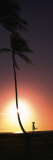 Silhouette of a Woman Running on the Beach, Magic Island, Hawaii, USA Lámina fotográfica por Panoramic Images