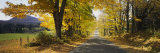 Trees on Both Sides of a Road, Danby, Vermont, USA Photographic Print by Panoramic Images 