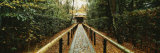 Path Leading to a Temple, Kyoto, Honshu, Japan Photographic Print by Panoramic Images 