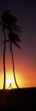 Silhouette of a Woman Running on the Beach, Magic Island, Hawaii, USA Photographic Print by Panoramic Images 