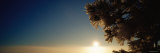 Sunrise at Dawn, Montana, USA Lámina fotográfica por Panoramic Images Sunrise at Dawn, Montana, USA Lámina fotográfica por Panoramic Images
