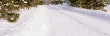 Snow Covered Road, Michigan, USA Lámina fotográfica por Panoramic Images Snow Covered Road, Michigan, USA Lámina fotográfica por Panoramic Images