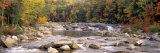 River Flowing through the Wilderness, White Mountains National Forest, New Hampshire, USA Photographic Print by Panoramic Images 