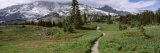Path, Mazama Ridge, Mt. Rainier National Park, Mt. Rainier, Washington, USA Photographic Print by Panoramic Images 