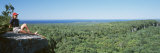Young Woman Sitting on a Rock, Cup and Saucer Trail, Manitoulin Island, Ontario, Canada Photographic Print by Panoramic Images 