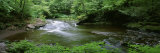 River Flowing through a Forest, Ricketts Glen State Park, Pennsylvania, USA Photographic Print by Panoramic Images 