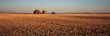 Crops in a Field, Hobson, Montana, USA Photographic Print by Panoramic Images 
