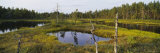 Reflection of Trees on Water, Sweden Photographic Print by Panoramic Images 