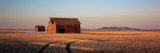 Barn in a Field, Hobson, Montana, USA Photographie par Panoramic Images 