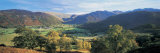 Trees on the Mountainside, Borrowdale, Lake District, England Photographic Print by Panoramic Images 