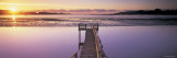 Pier on a River, Pounawea, the Catlins, South Island New Zealand, New Zealand Lámina fotográfica por Panoramic Images Pier on a River, Pounawea, the Catlins, South Island New Zealand, New Zealand Lámina fotográfica por Panoramic Images
