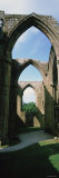 Archway, Bolton Abbey, Yorkshire, England Photographic Print by Panoramic Images Archway, Bolton Abbey, Yorkshire, England Photographic Print by Panoramic Images