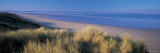 Tall Grass on the Coastline, Saunton, North Devon, England Photographic Print by Panoramic Images 