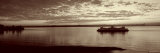 Silhouette of a Ferry in a River, Bainbridge, Washington State, USA Lámina fotográfica por Panoramic Images Silhouette of a Ferry in a River, Bainbridge, Washington State, USA Lámina fotográfica por Panoramic Images