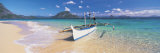 Fishing Boat Moored on the Beach, Palawan, Philippines Reprodukcja zdjęcia autor Panoramic Images Fishing Boat Moored on the Beach, Palawan, Philippines Reprodukcja zdjęcia autor Panoramic Images