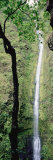 Kapoloa Falls, Kohala, Hawaii, USA Photographie par Panoramic Images 