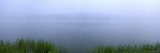 Foggy Weather, Herrington Manor State Park, Maryland, USA Photographic Print by Panoramic Images 
