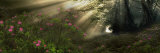 Sun Shining through Trees in a Forest Lámina fotográfica por Panoramic Images Sun Shining through Trees in a Forest Lámina fotográfica por Panoramic Images