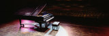 Grand Piano on a Concert Hall Stage, University of Hawaii, Hilo, Hawaii, USA Reprodukcja zdjęcia autor Panoramic Images Grand Piano on a Concert Hall Stage, University of Hawaii, Hilo, Hawaii, USA Reprodukcja zdjęcia autor Panoramic Images