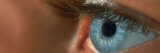 Human Eye Photographic Print by Panoramic Images