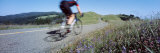 Man Riding a Bicycle, Bolinas Ridge, Marin County, California, USA Photographic Print by Panoramic Images 