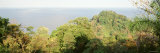 Rainforest, Costa Rica Photographic Print by Panoramic Images Rainforest, Costa Rica Photographic Print by Panoramic Images