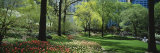 Trees in a Park, Central Park, Manhattan, New York, USA Photographie par Panoramic Images 