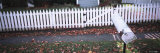 Mailbox in Front of a Picket Fence Photographic Print by Panoramic Images