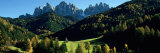 Trees on a Landscape, Dolomites, Funes Valley, le Odle, Santa Maddalena, Tyrol, Italy Photographic Print by Panoramic Images 