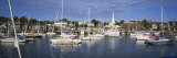 Sailboats in the Sea, Camden, Maine, USA Photographic Print by Panoramic Images