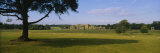 Flock of Sheep Grazing in a Field, Holkham Hall, Norfolk, England Photographic Print by Panoramic Images 