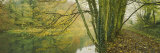 Reflection of Trees in Water, Stroud, Gloucestershire, England Lámina fotográfica por Panoramic Images Reflection of Trees in Water, Stroud, Gloucestershire, England Lámina fotográfica por Panoramic Images