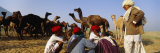 Group of People in Front of Camels, Pushkar Camel Fair, Pushkar, Rajasthan, India Lámina fotográfica por Panoramic Images Group of People in Front of Camels, Pushkar Camel Fair, Pushkar, Rajasthan, India Lámina fotográfica por Panoramic Images