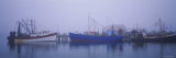 Fishing Boats Docked at a Harbor, Provincetown, Cape Cod, Massachusetts, USA Photographic Print by Panoramic Images 