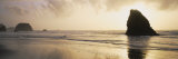 Silhouette of Rocks on the Beach, Fort Bragg, Mendocino, California, USA Photographie par Panoramic Images 