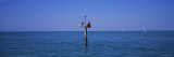 Channel Markers in the Sea, Gulf of Mexico, Florida, USA Lámina fotográfica por Panoramic Images Channel Markers in the Sea, Gulf of Mexico, Florida, USA Lámina fotográfica por Panoramic Images