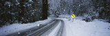 Arrow Sign at the Roadside in a Forest, Yosemite National Park, California, USA Photographic Print by Panoramic Images 
