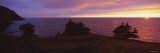 Silhouette of Trees at Sunset, Green Gardens, Gulf of St. Lawrence, Canada Lámina fotográfica por Panoramic Images Silhouette of Trees at Sunset, Green Gardens, Gulf of St. Lawrence, Canada Lámina fotográfica por Panoramic Images