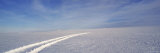 Tire Tracks on a Snow Covered Landscape, Vatnajokull, Iceland Lámina fotográfica por Panoramic Images Tire Tracks on a Snow Covered Landscape, Vatnajokull, Iceland Lámina fotográfica por Panoramic Images