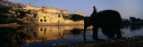 Man Sitting on an Elephant, Amber Fort, Jaipur, Rajasthan, India Photographie par Panoramic Images 
