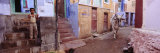 Boy and a Bull in Front of Building, Jodhpur, Rajasthan, India Lámina fotográfica por Panoramic Images Boy and a Bull in Front of Building, Jodhpur, Rajasthan, India Lámina fotográfica por Panoramic Images