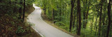 Empty Road Running through a Forest, Stuttgart, Baden-Wurttemberg, Germany Photographic Print by Panoramic Images 