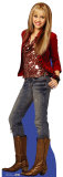 Hannah Montana Stand Up