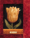 Orange Tulip Prints by Herve Libaud Orange Tulip Prints by Herve Libaud