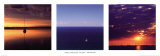 Sailing, Australia Posters by Neville Prosser