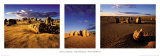 The Pinnacles, West Australia Print by Neville Prosser