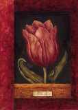 Red Tulip Posters by Herve Libaud Red Tulip Posters by Herve Libaud