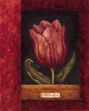 Red Tulip Posters by Herve Libaud